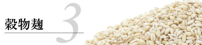 エグゼ酵素のの素材解説穀物麹